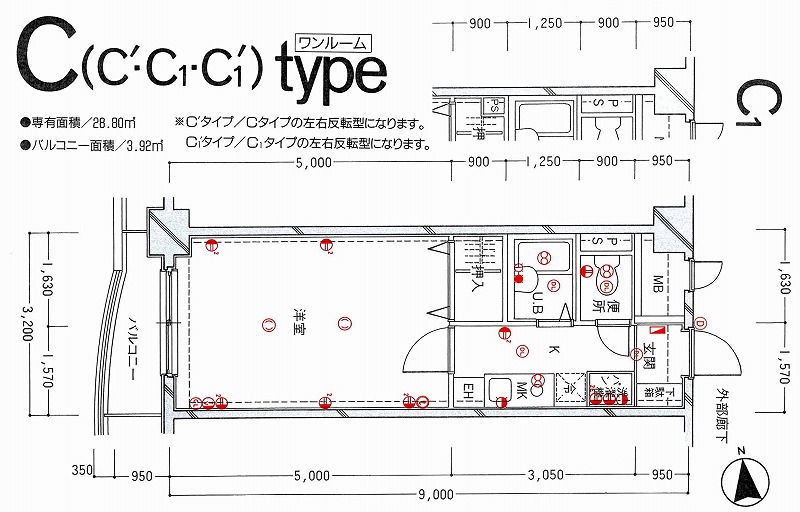 ピアハイム高田(C2)